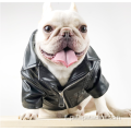 piccolo animale domestico bulldog francese pelliccia moda di lusso